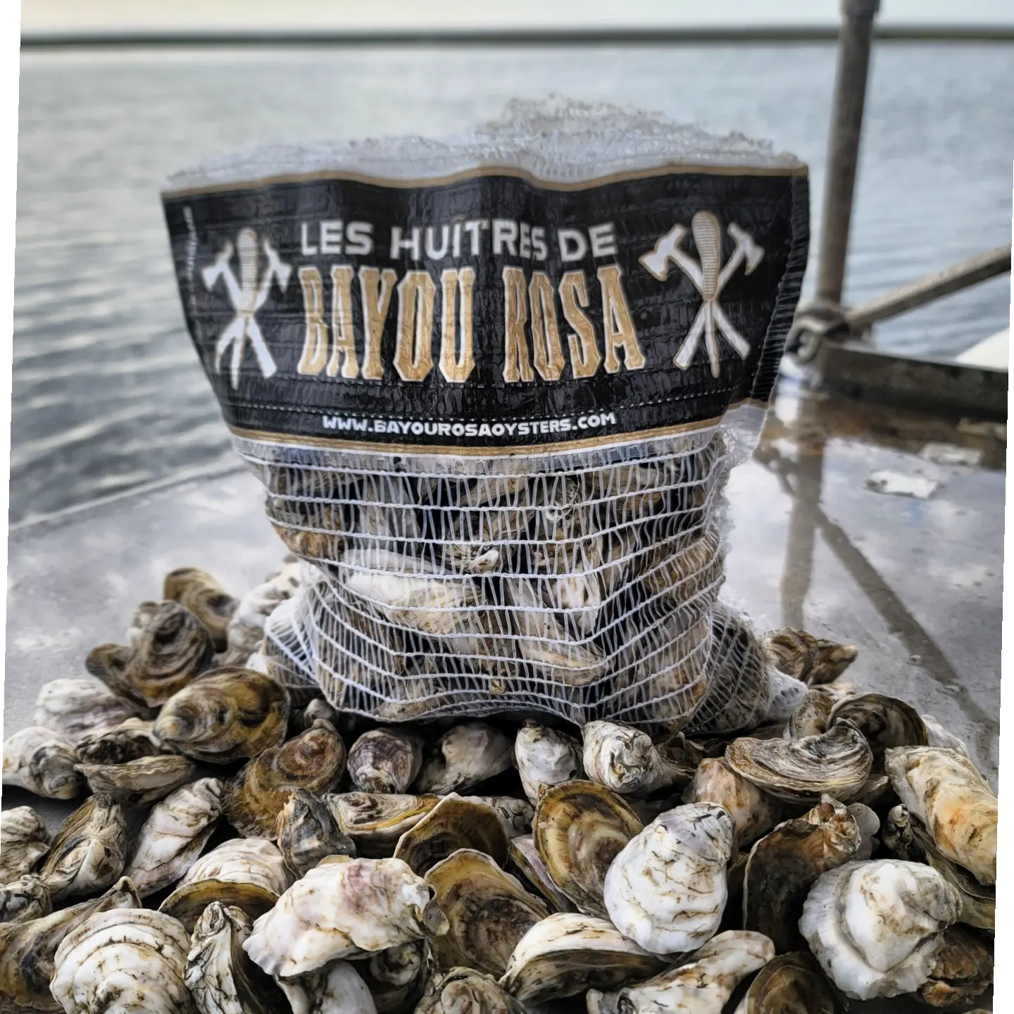 Oysters- Restaurants