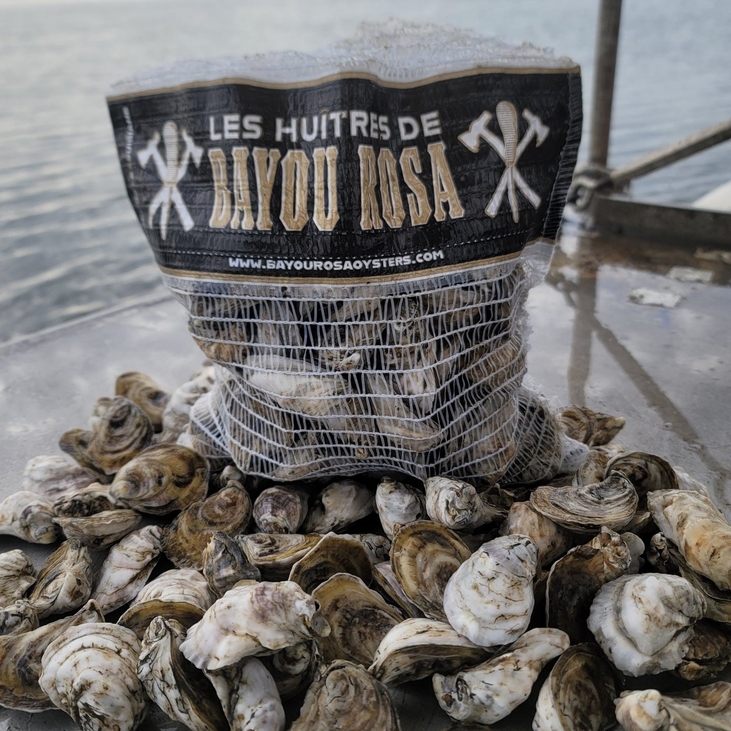 50 Oysters DELIVERED December 17th to New Orleans Area (See PARISHES in Description)