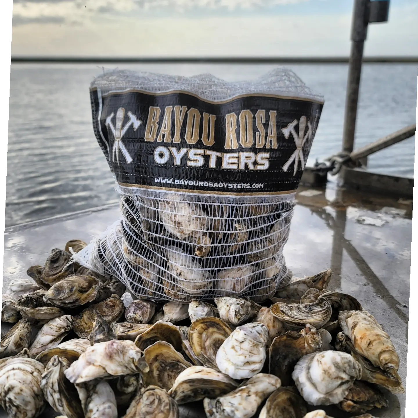 50 Oysters DELIVERED December 7th to New Orleans Area (See PARISHES in Description)