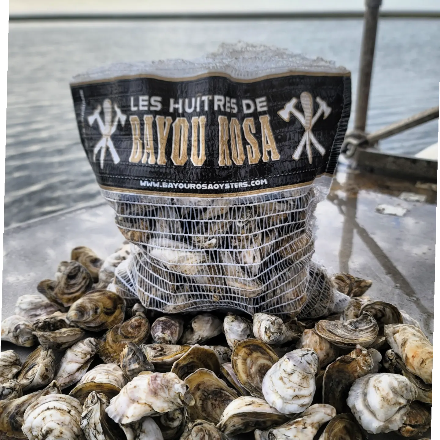 50 Oysters DELIVERED December 22nd to New Orleans Area (See PARISHES in Description)