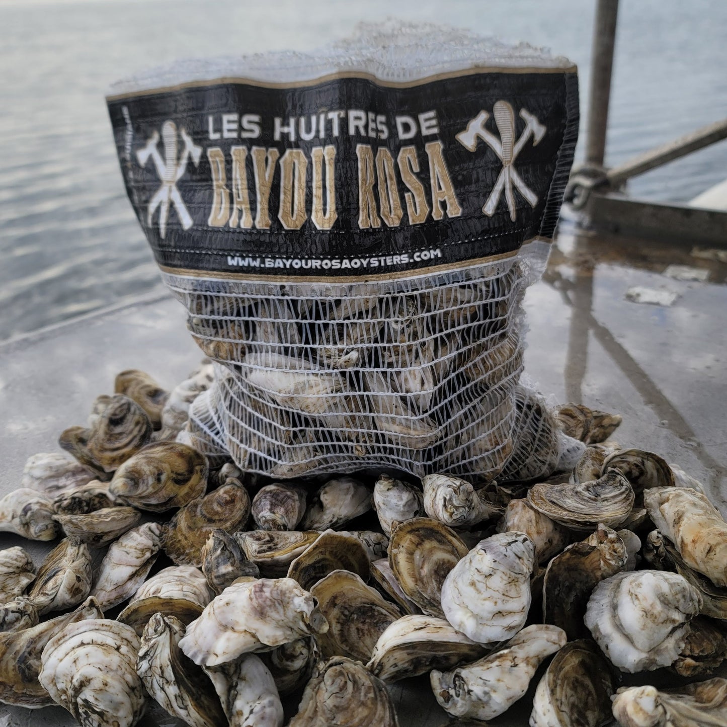 50 Oysters DELIVERED December  17th  to New Orleans Area (See PARISHES in Description)