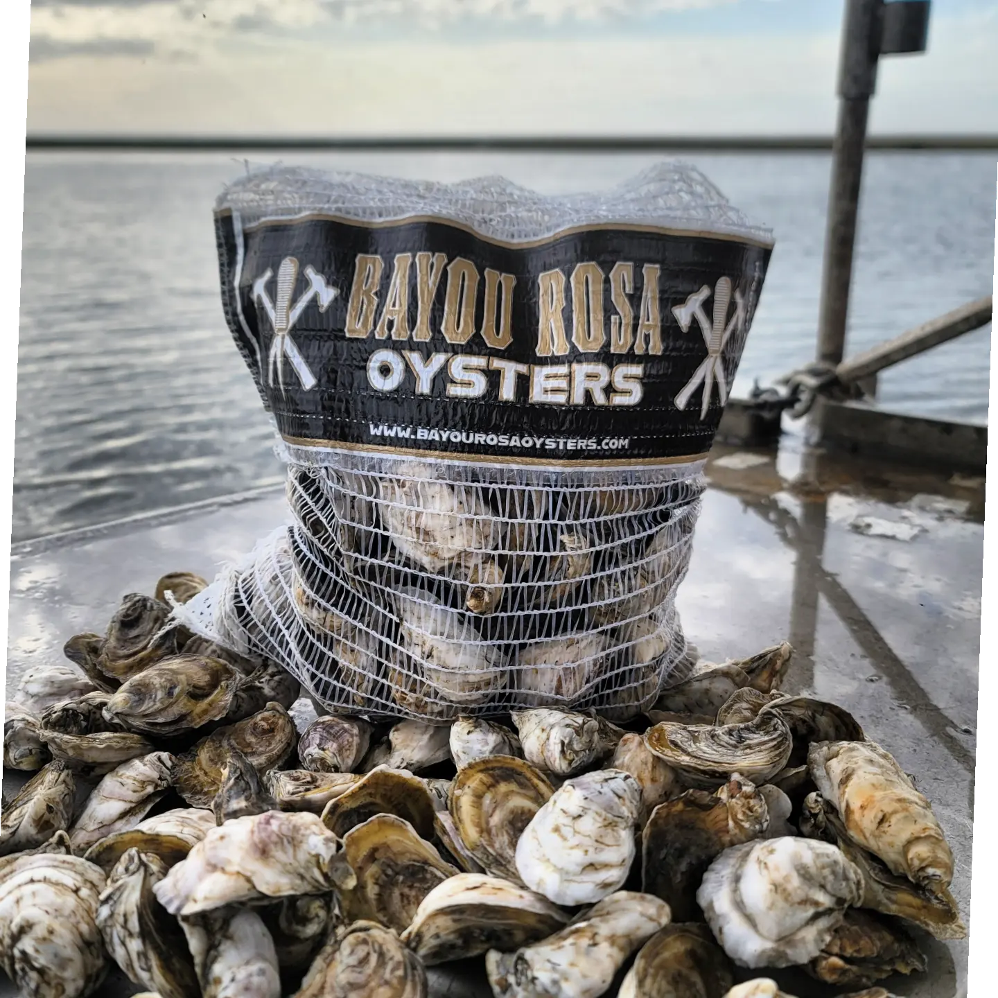 50 Oysters DELIVERED December  7th  to New Orleans Area (See PARISHES in Description)